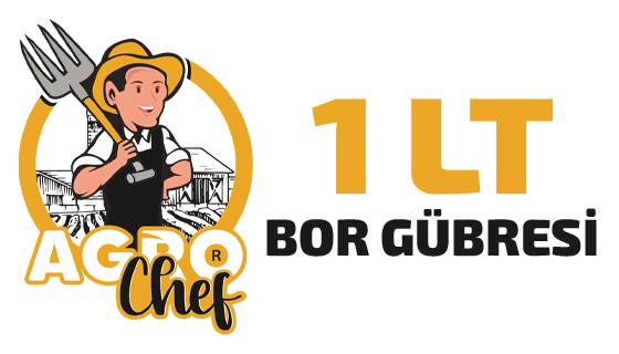 Agrochef 1 Lt Bor Gübresi